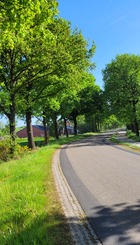 2025 Skoalleane 0514_172056.jpg