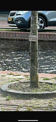 Perkje om boom