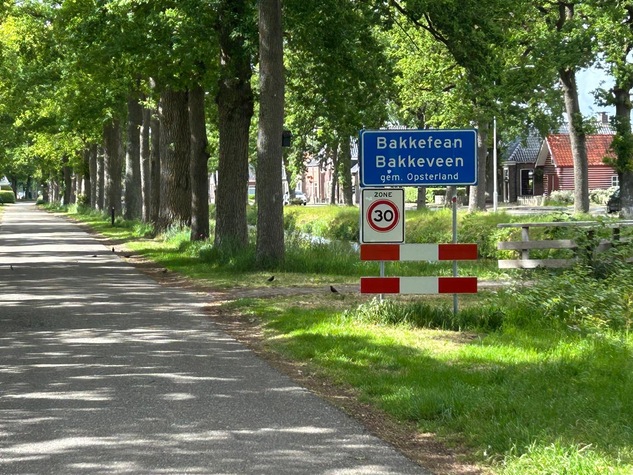 bakkeveen houtwal.JPG