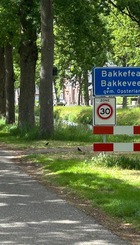 bakkeveen houtwal.JPG